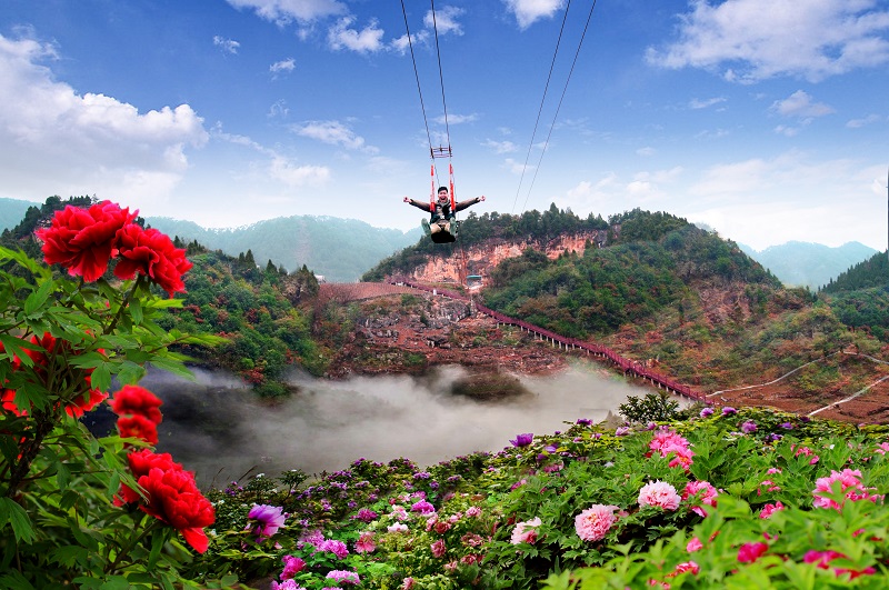 重庆垫江牡丹花海景区