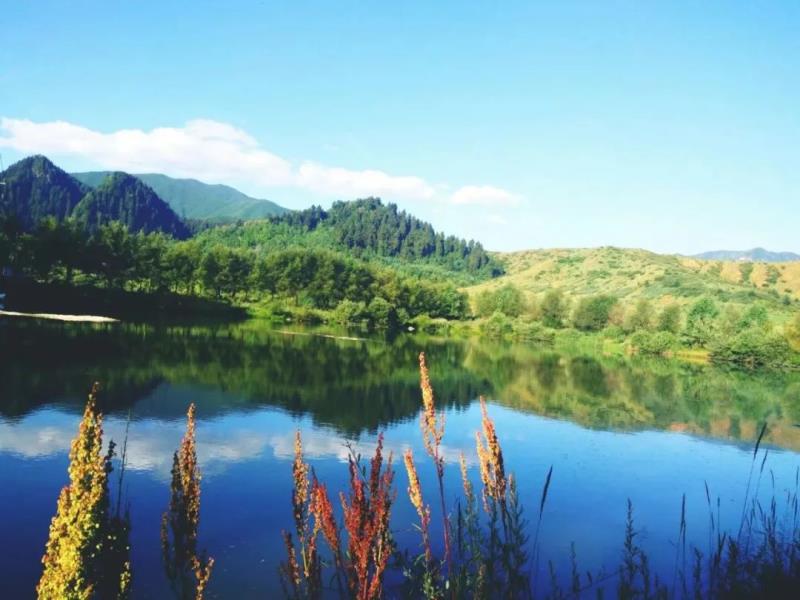 兰州出发2h打卡临夏这些宝藏地，春天自驾正好！