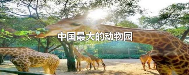 中国最大的动物园广州长隆野生动物世界